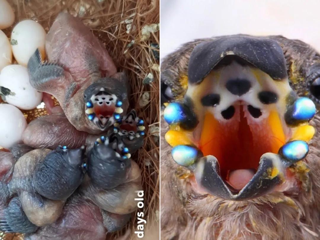 全身发抖的图片,全身发抖的照片