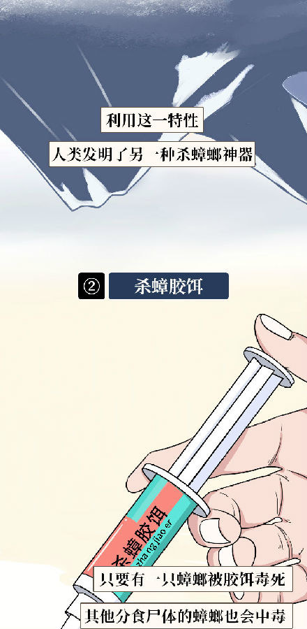 蟑螂一次能生多少幼崽,蟑螂一生只产一次卵吗