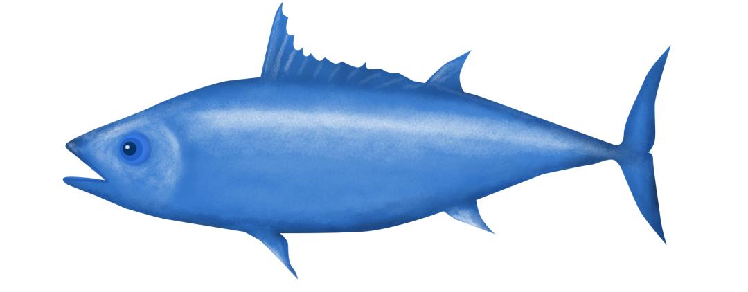 pci术后的心脏康复,PCI术后护理常规