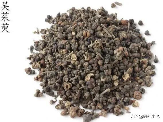 吴茱萸中医,吴茱萸大补元气