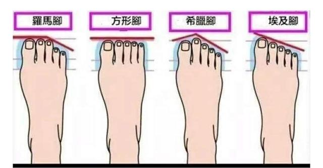 女士小白鞋的正确穿搭视频,小白鞋女如何搭配好看图