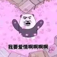 单身汪过年指南,单身狗不容错过的冷知识