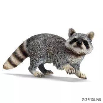 这些东西跑到外面去居然会引起生态危机！