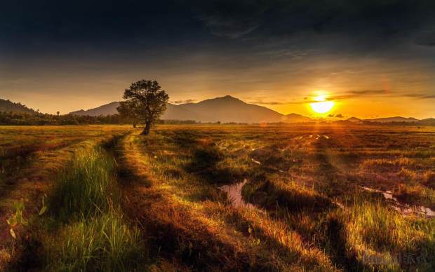 一个电商创业者的自我修养,一个人的电商心得体会
