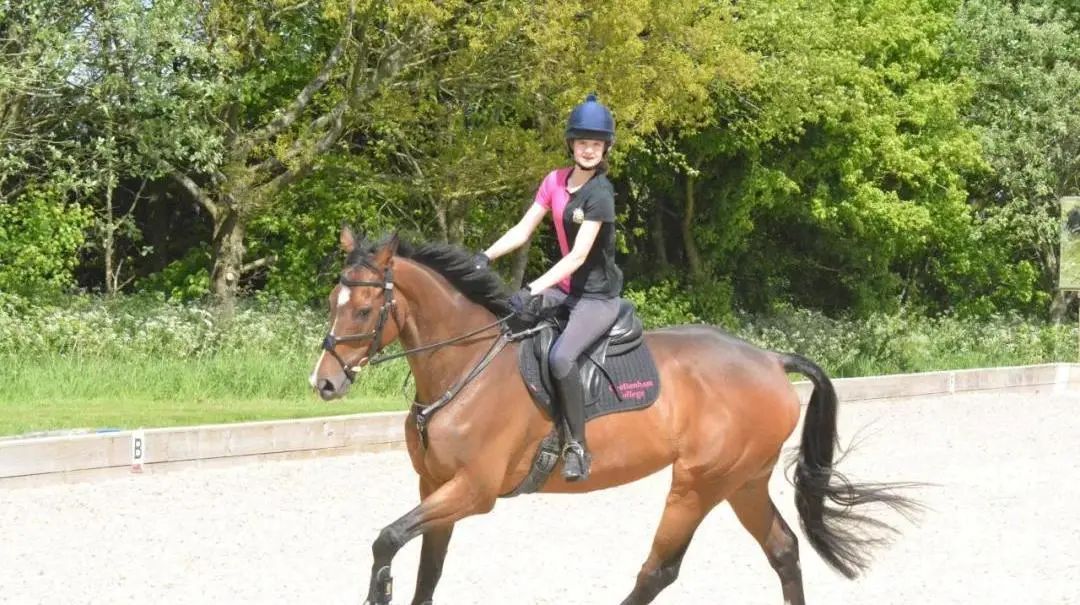 切尔滕纳姆贵族学院,切尔滕纳姆有什么学院