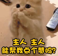 川足最奇葩，九牛暴长5岁，兴城30+达8人，一老一少藏隐患