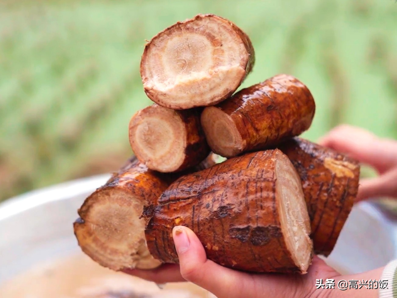 葛根在美国食用,葛根在美国成灾成灾