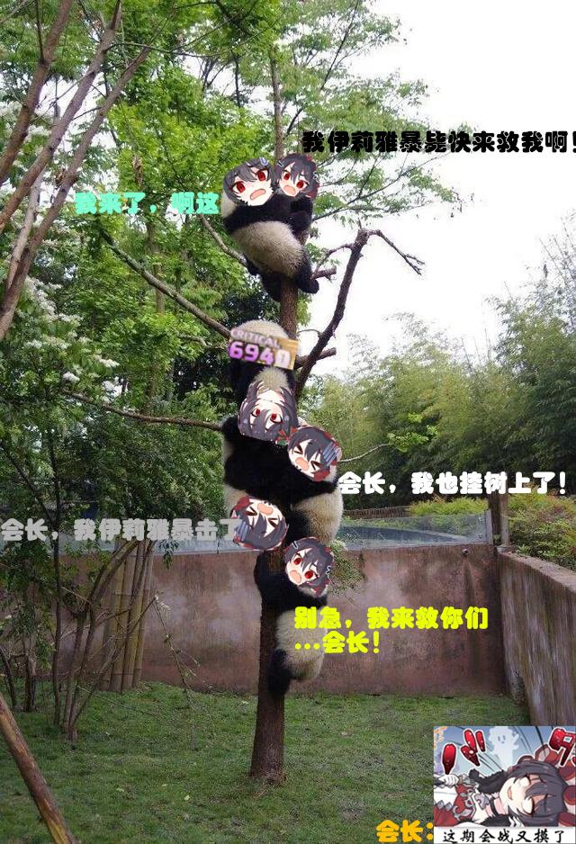 公主连结re:dive角色推荐,公主连结re:dive第二季