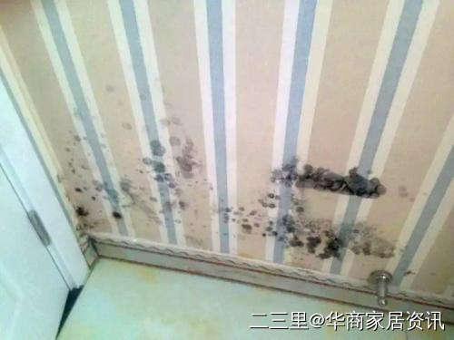 家里墙纸发霉气味很重怎么办,怎样修复墙纸下墙面鼓包爆皮