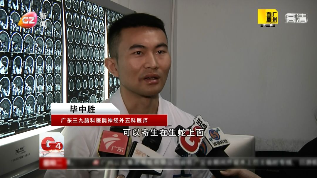 偏方不可信吞鱼胆清火致垂危,吃蛇胆取出30公分寄生虫