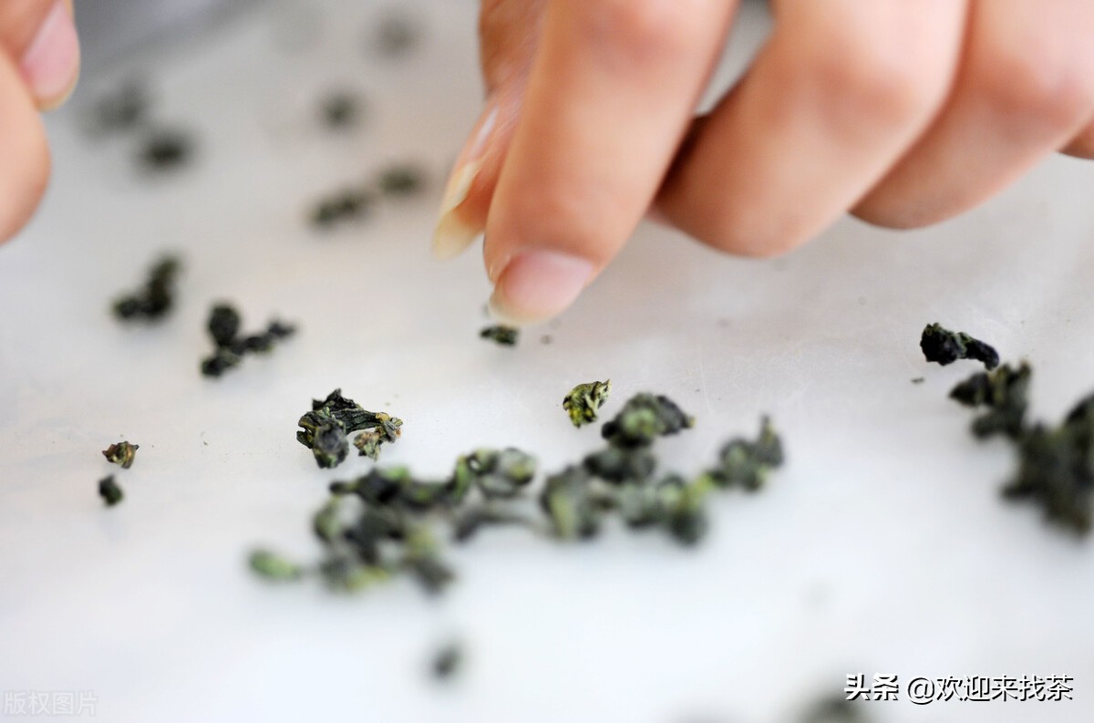 福建出名的茶叶是什么茶,福建名茶有哪些福建七大名茶介绍