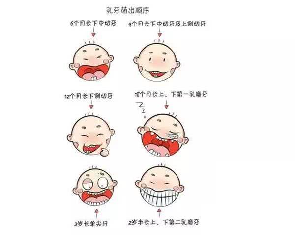 乳牙滞留怎么缓解,乳牙滞留了解一下