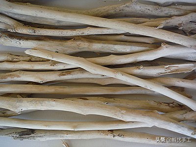 如何处理枯树枝和落叶,如何处理枯树枝图解