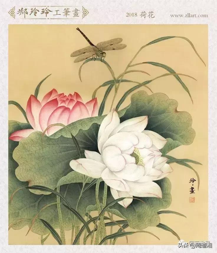 宋人工笔花鸟临摹步骤,工笔花鸟玉兰的画法