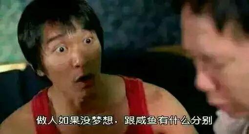 做一个有梦想的咸鱼,咸鱼也要有自己的梦想