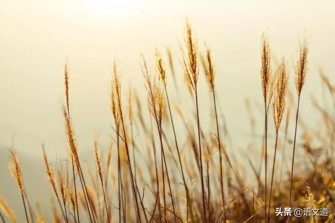 觊觎读音,觊觎读音有相近的词吗