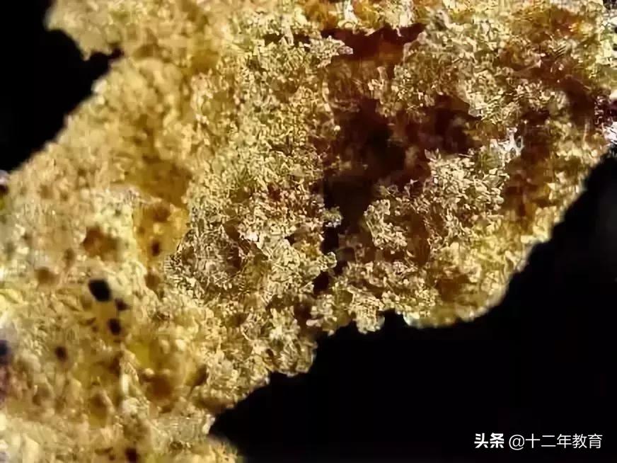 黄金怎么形成的揭秘黄金形成过程,自然金纯金什么区别