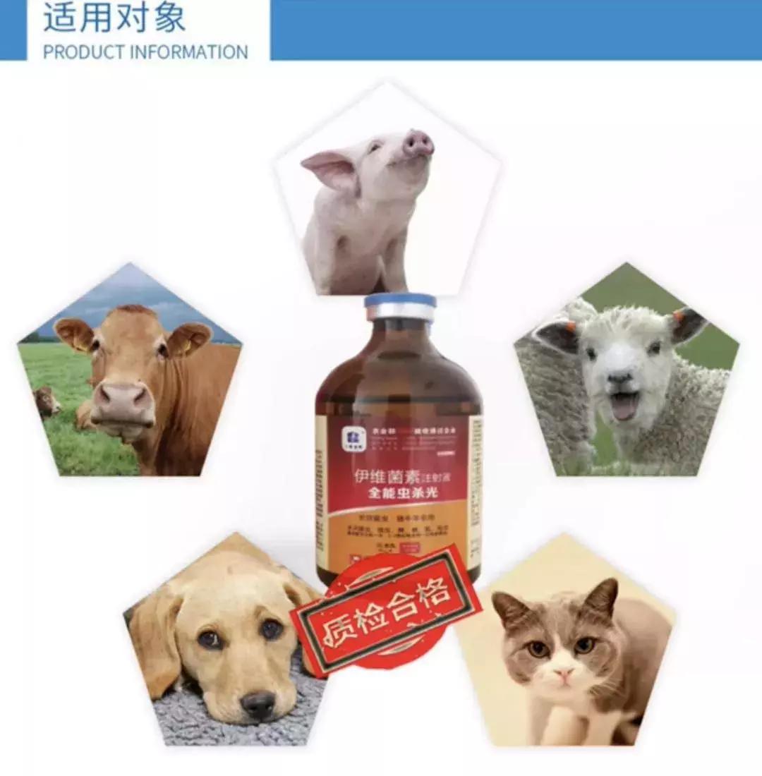 伊维菌素宠物驱虫药,伊维菌素驱虫药可以给狗用吗