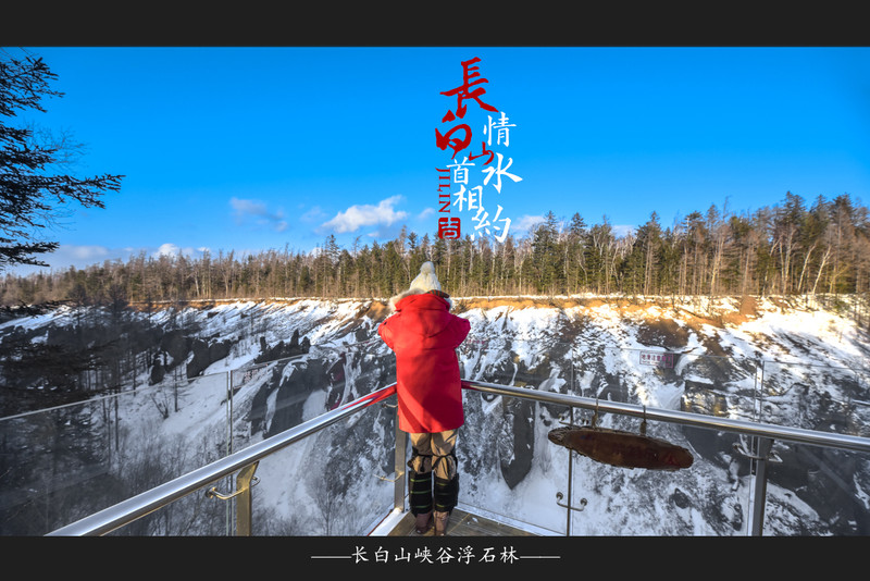 冰雪总动员简介,冰雪总动员
