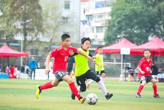 全国中小学科技创新大赛作品,中小学35项省级竞赛