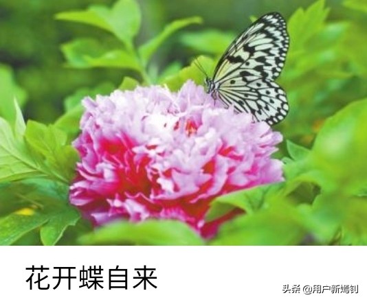 喜欢一个人得不到又放不下怎么办,喜欢她却得不到她