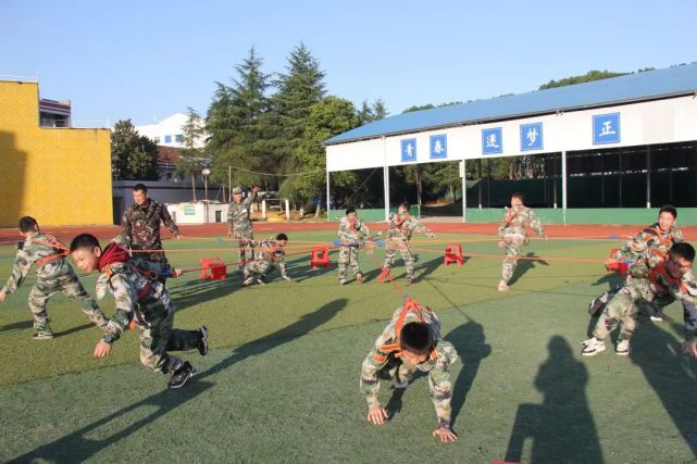 走进绿色军营的感受,绿色军营青春绽放