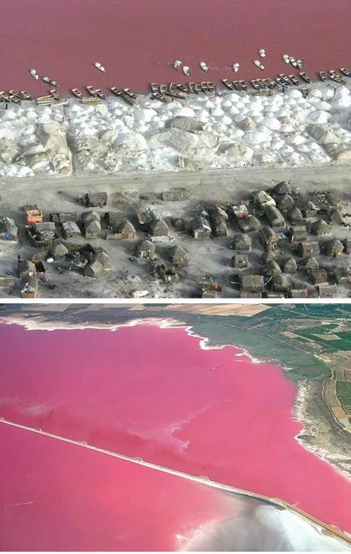 女神节有无与伦比的美丽,女神节浪漫游花海