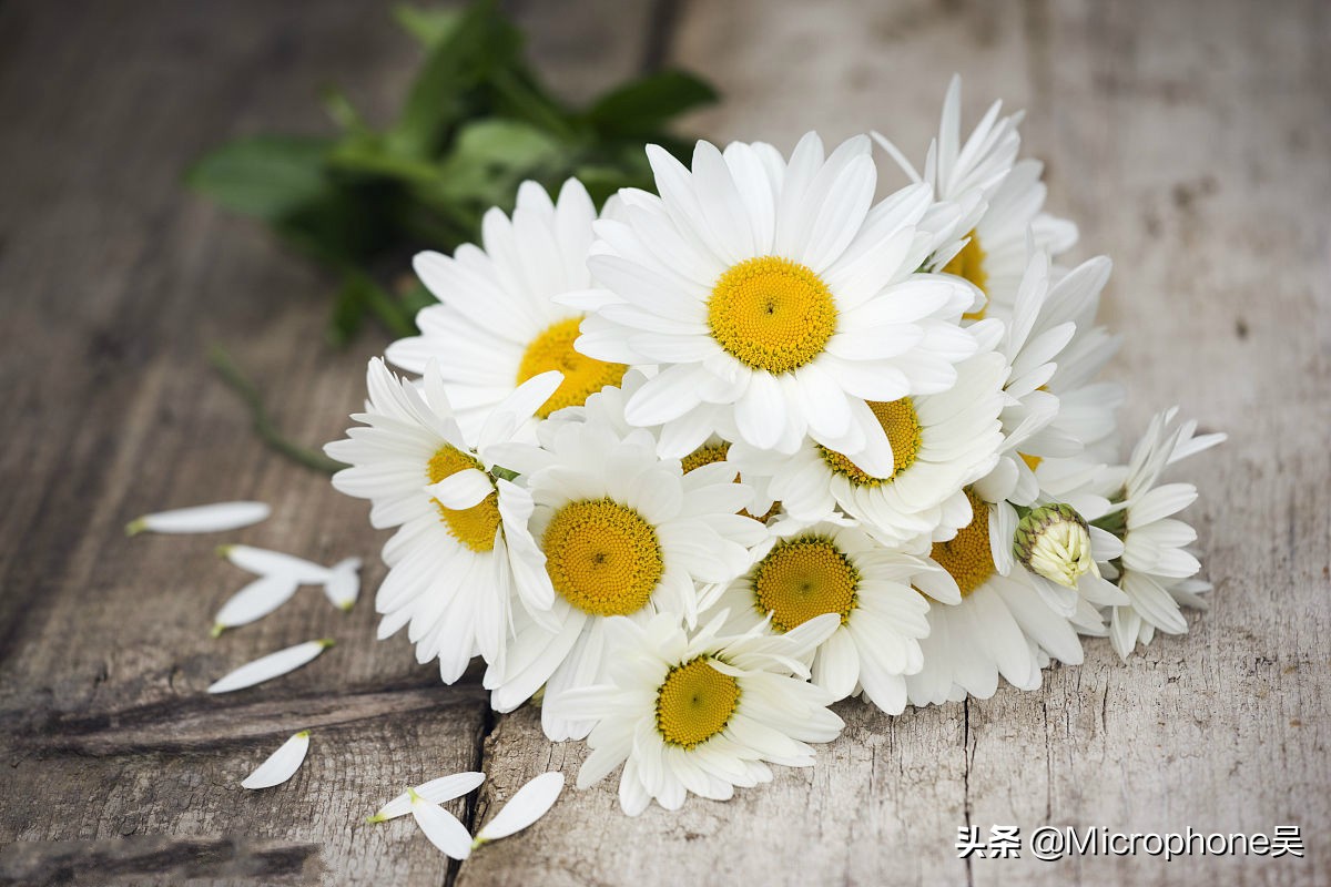 舌尖上的清朝皇宫：慈禧太后对菊花火锅情有独钟