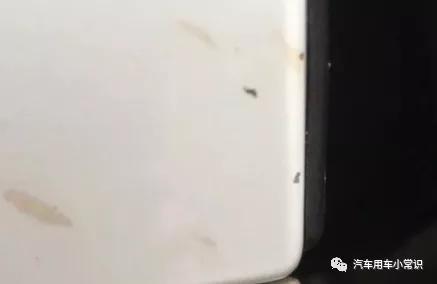 白色车身粘上沥青怎么办,汽车沾上沥青怎么办