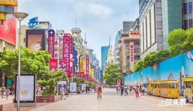 生日当天上海免费景点,上海网红打卡地点景点免费