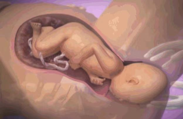 孕妇高清分娩全程图，从临产小征兆到正式胎儿娩出，早知道早准备