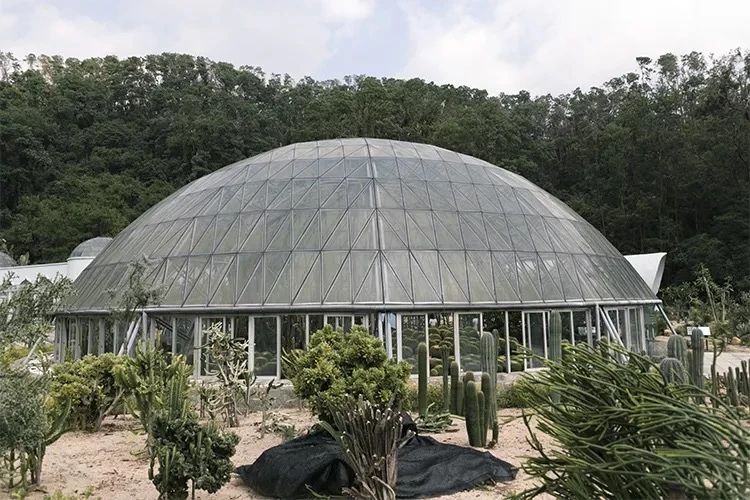 深圳吃喝玩乐一整天,深圳吃喝玩乐一天攻略