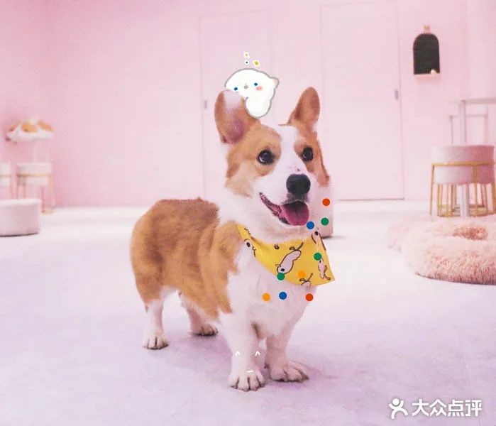 全国新开店铺,值得打卡的全国首店