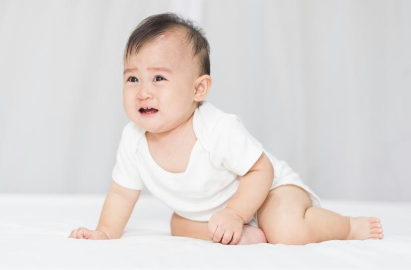 宝宝过敏的高蛋白食物,高蛋白过敏宝宝饮食