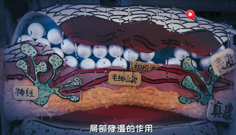 烫伤不谨慎把水泡戳破了怎么办,皮肤被烫伤起的水泡可以戳破吗