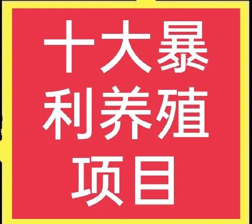 室内养殖十大赚钱项目,养殖最赚钱项目