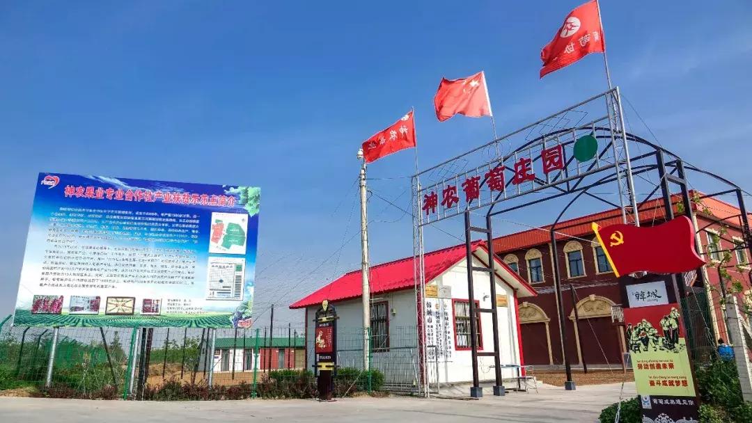 神农葡萄庄园基地,神农葡萄庄园