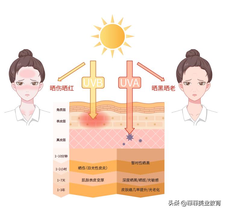 脸老是长痘痘应该用什么护肤品,脸经常长痘怎么护肤