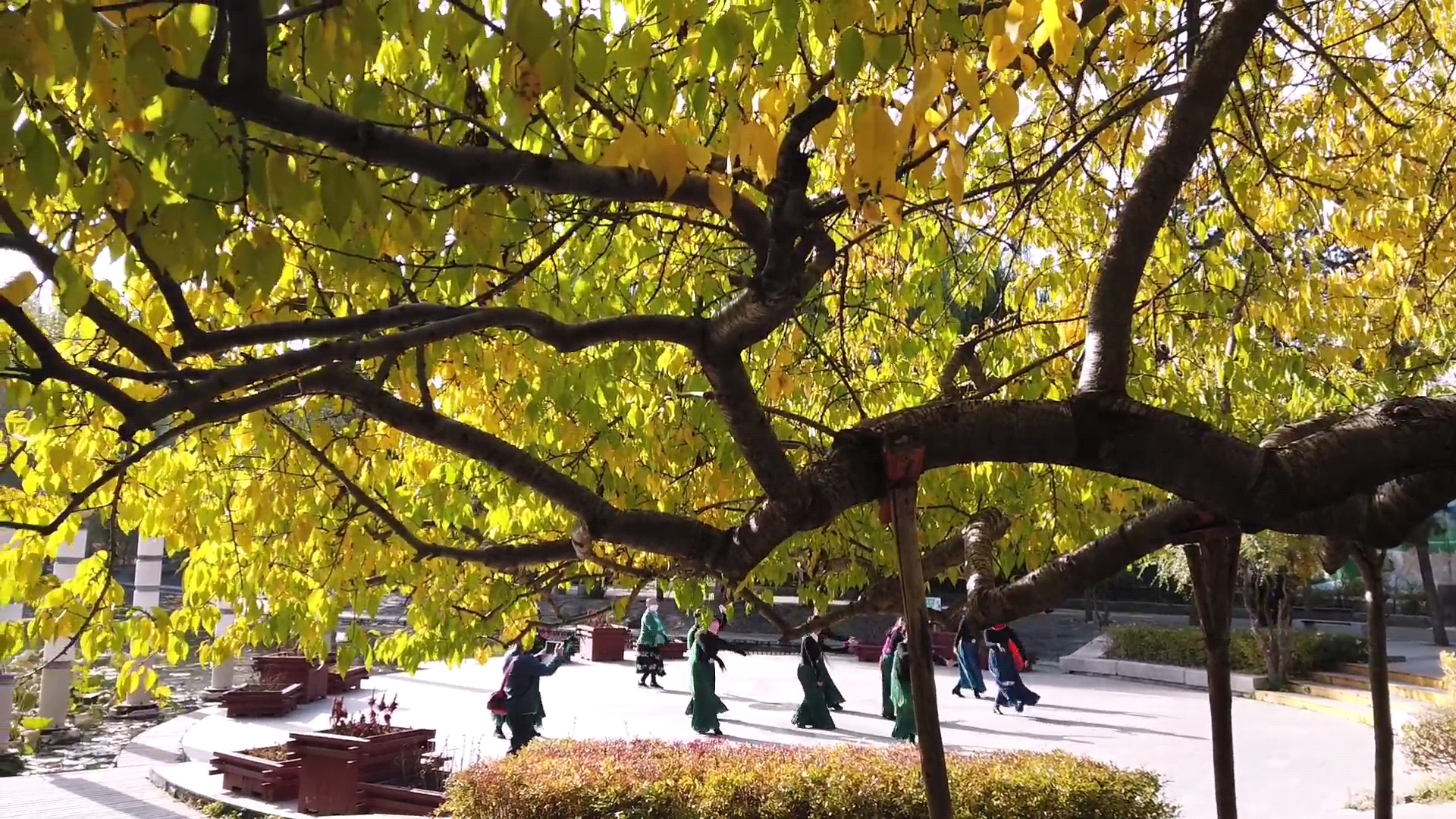 呼和浩特满都海公园晚上,呼和浩特市满都海公园有什么特点