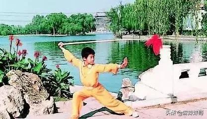吴京电影宝藏,吴京演了无价之宝吗