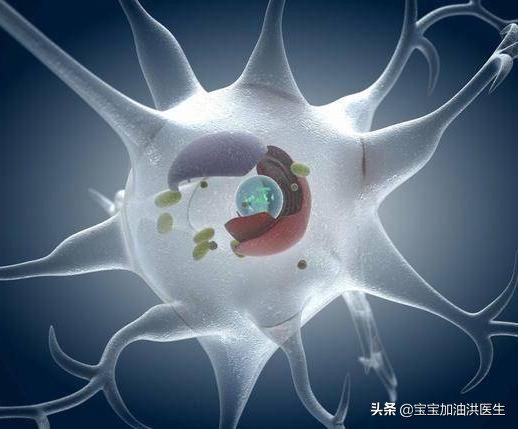 #洪医生看出生缺陷#——胎儿脑袋里有泡泡，这是异常吗？