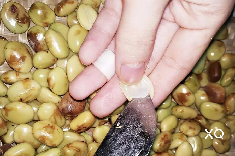 一棵树手工甜品,一棵树糖水