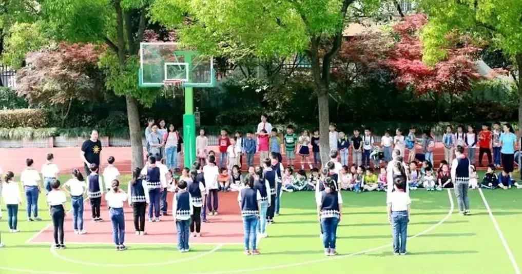 徐汇最好的五所学校,徐汇区有哪些学校