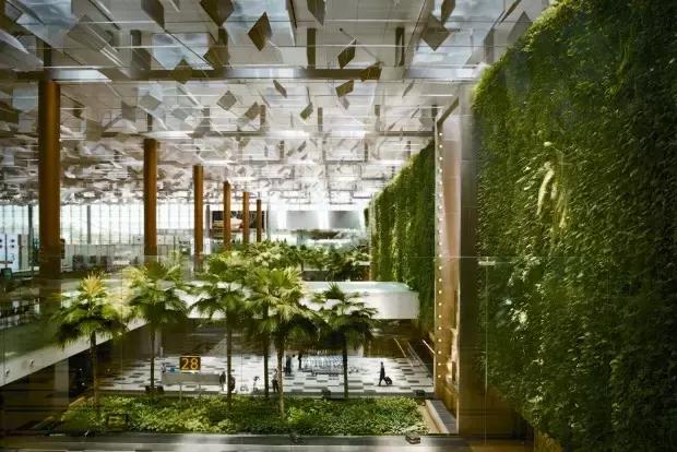 耗资85亿，把瀑布、热带雨林搬进机场！樟宜机场终于要开放了