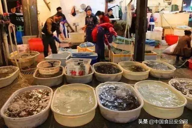 鱼虾被监测出违禁兽药！对人体健康危害究竟有多大？