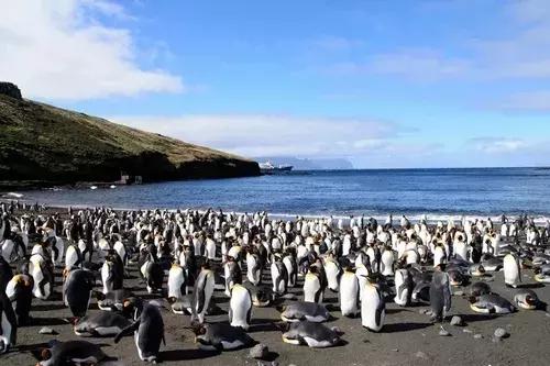 法国太平洋属地展开独立公投结果,法国海外领地独立公投