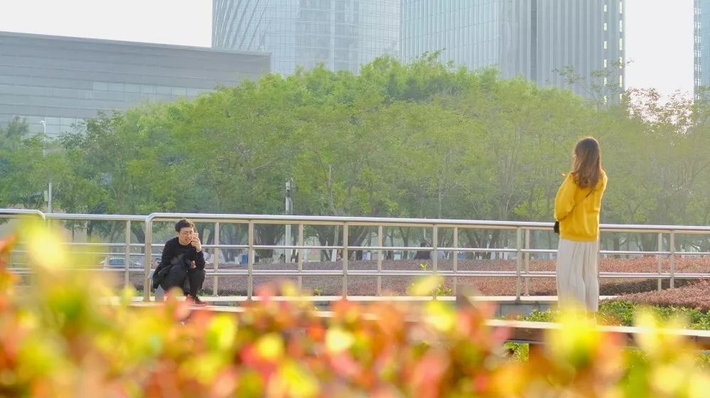 宝安西部中心,宝安的市中心