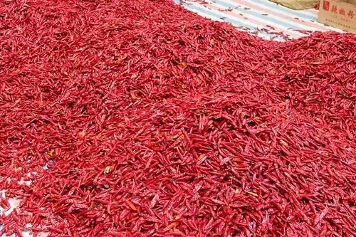 产业扶贫模式助贫困户致富,新山村产业扶贫