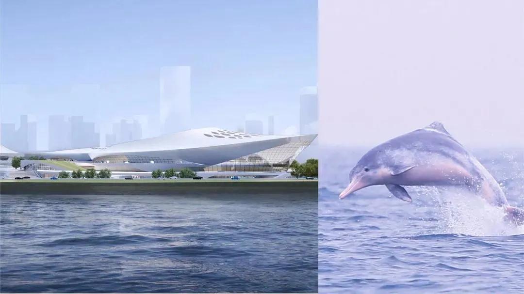 亚洲杯厦门白鹭体育场,亚洲杯2023厦门白鹭体育馆