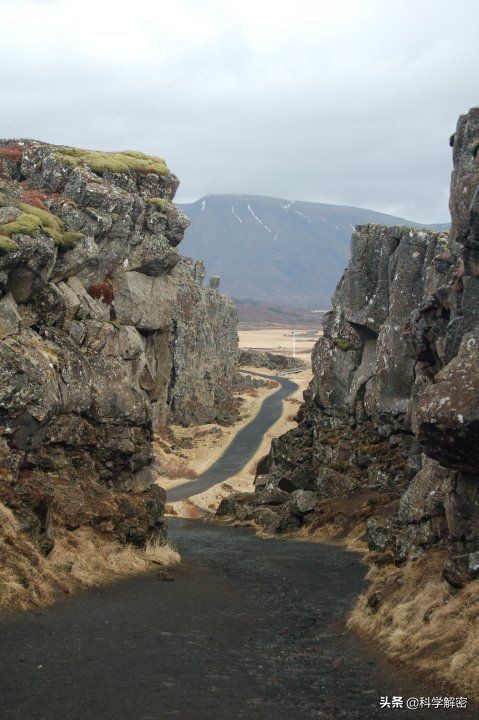 地球上的生命千奇百怪,地球稀奇古怪的地方